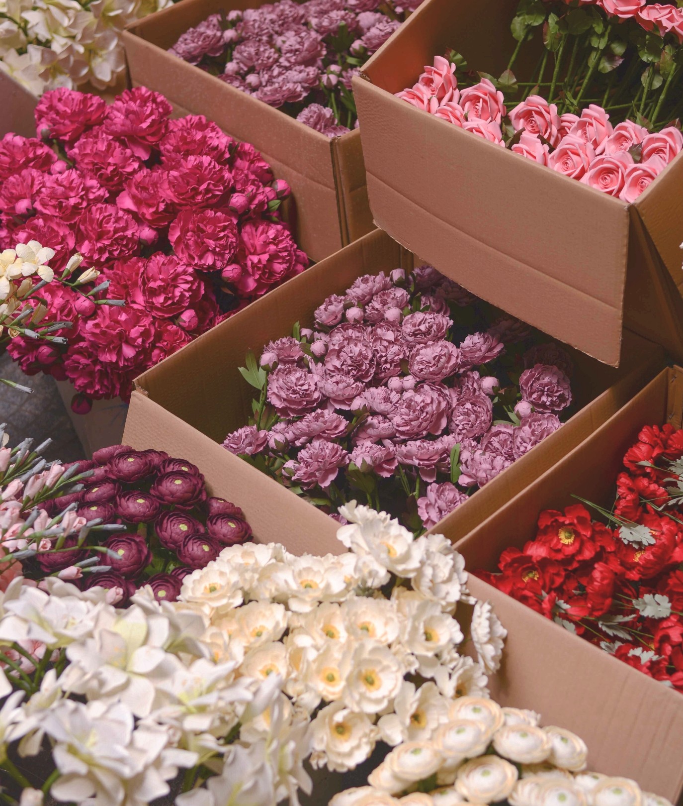 hanoi blooms profile